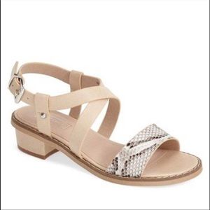Topshop Faux Snakeskin & Cream Sandal w/ Mini Heel